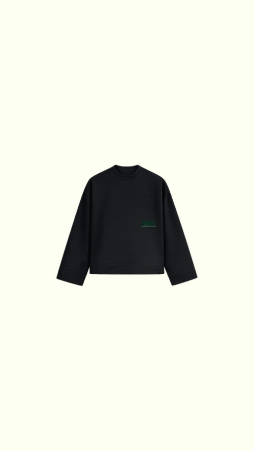 LONGSLEEVE NEGRA
